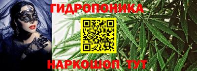 шишки Бузулук