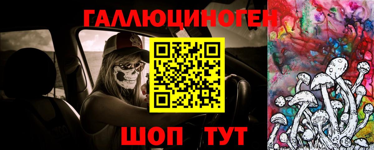 Псилоцибиновые грибы Psilocybe Шарыпово
