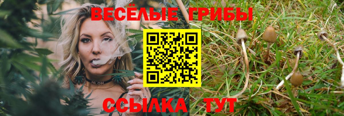 купить  сайты  Галлюциногенные грибы Magic Shrooms  Шарыпово  Вход с VPN  Псилоцибиновые грибы мицелий 